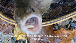 岩魚を狙い撃ち・・・してるけど、鱒が釣れることもある。 