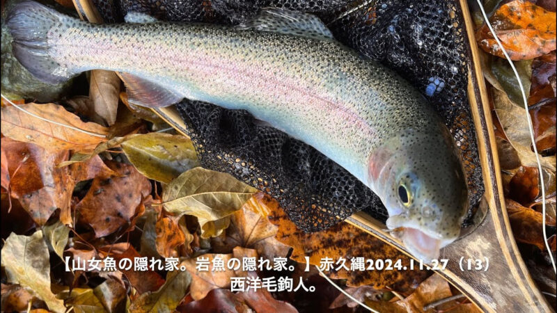 マスを釣って・・・次は？ 