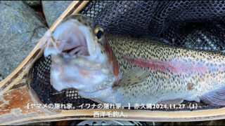 沈んでいるサカナが水面で毛鉤を咥えるという勝利感！？ 