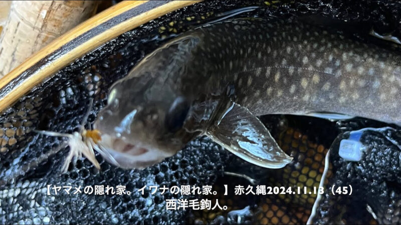 ラインを岩にのせて・・・出た！岩魚！ 