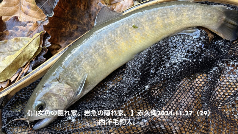 速い流れでも、浅ければ出る！ 