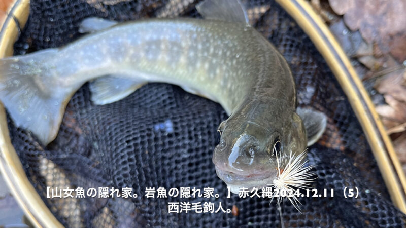 岩魚が深めの水底から出てくれると、嬉しい！ 