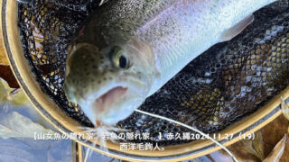 挨拶のつもりでフライを投げたら、マスが釣れた件 