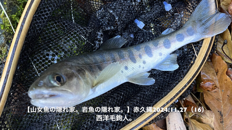 どうみても岩魚のポイントだと・・・。 