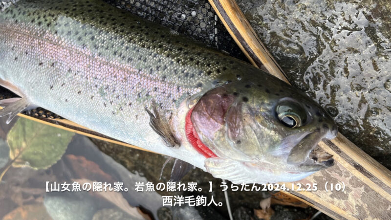 風が吹くと、サカナの警戒心が緩む。 