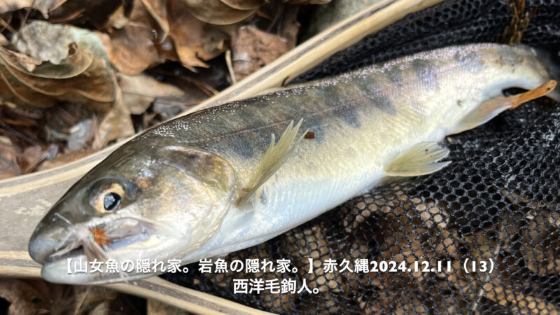 釣り人の性？いちばん大きい奴にロックオン！ 