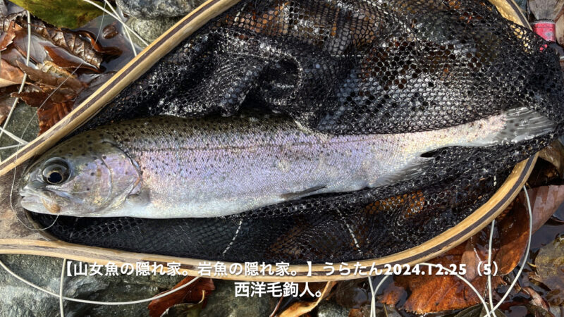 1投目は慎重に・・・大胆に！ 